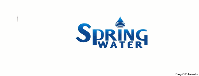 spring water su arıtma servisi